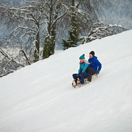 103 M2 Eschenwald Vomlandl Apartment