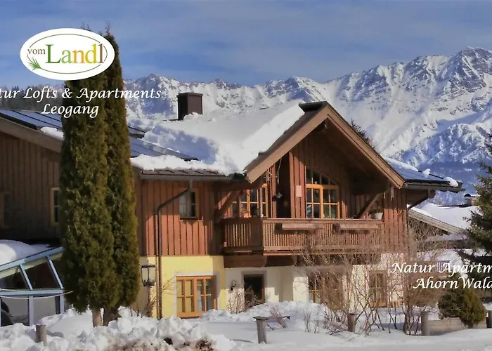 103 M2 Eschenwald Vomlandl Appartement Leogang